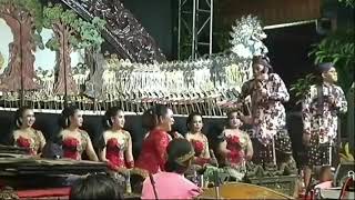 Download lagu Story'wa cak percil lucu mp3