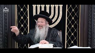 הרה"ג ר' שמעון שנייבלג שליט”א | דבר חינוך אקטואלי מהפרשה | פרשת וישב | עברית