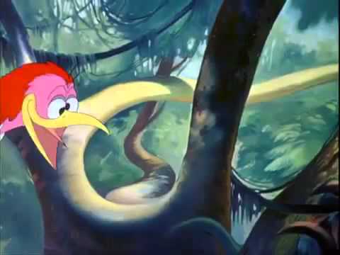 The Aracuan for 5 min.mp4