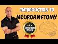 Introduction to Neuroanatomy: Central and Peripheral Nervous Systems Explained