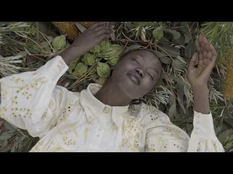 AJE 'BLOOMSCAPE' RESORT TWENTY FILM