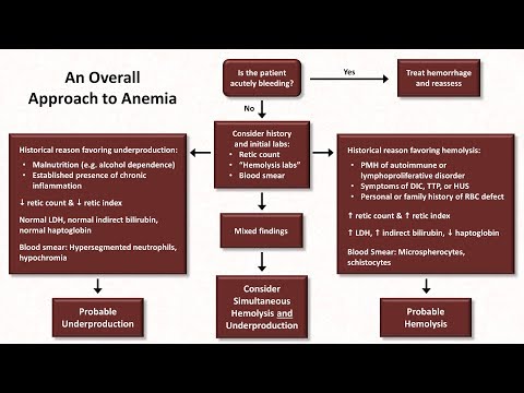 Anemia: Lesson 5 - An Approach to Diagnosis