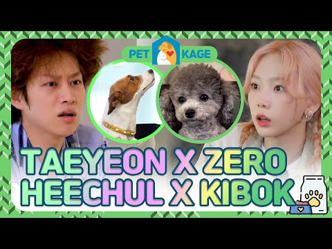 petkage snsd TAEYEON💗Zero compilation 2 (Heechul X kibok)