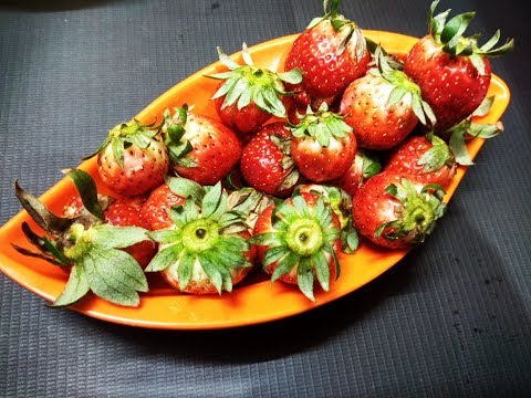 download lagu mp3 mp4 Honor Bar Kale Salad Recipe, download lagu Honor Bar Kale Salad Recipe gratis, unduh video klip Honor Bar Kale Salad Recipe