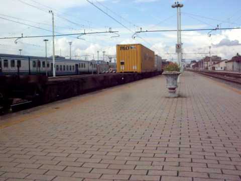 Il lampeggiante del Caimano!!!!