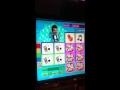 IMG 1603