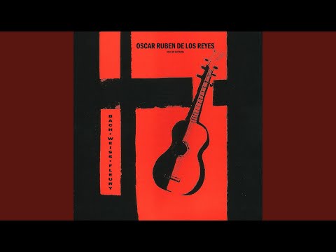 Pájaros en el Monte