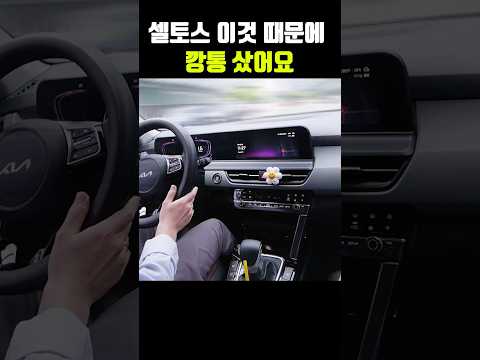 기아 셀토스 2천만원 주고 깡통으로 출고한 이유