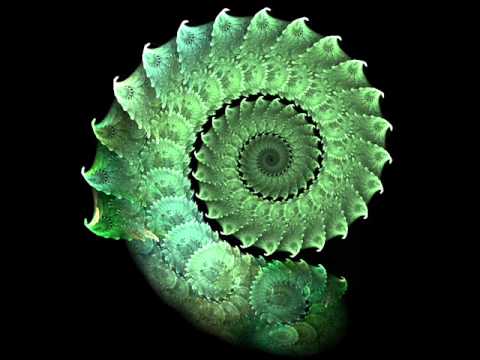 Jelly Headz - Escaliburs Night