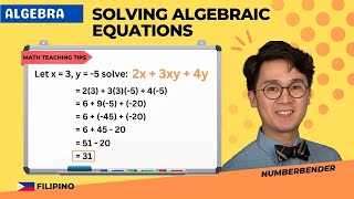 Solving Algebraic Equations teaching video thumbnail