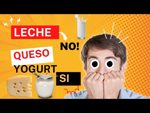 Leche NO, queso y yogur SI