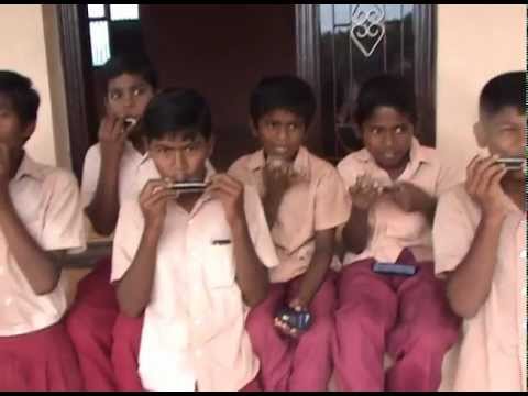 Shalom Harmonicas Thankyou