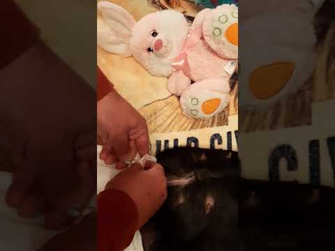 #COVID-19 diapering 101