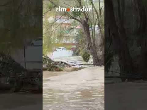 Estero Marga Marga aumenta su caudal y se desborda en algunos sectores de Quilpué