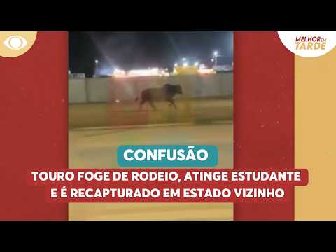 Touro foge de rodeio, atinge estudante e é recapturado em estado vizinho | Melhor da Tarde