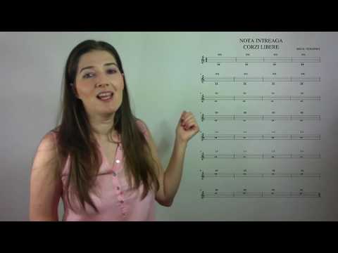 Lectia 4 Vioara - Corzi libere. Nota intreaga