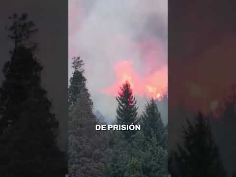 🔥🌲 Epuyén: una mujer confesó haber iniciado el incendio que arrasó más de 100 hectáreas