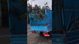 Download lagu Pengiriman bibit alpukat di sengolangu plaosan #short  #buah #padahariini #alpukat  #vidioviral mp3