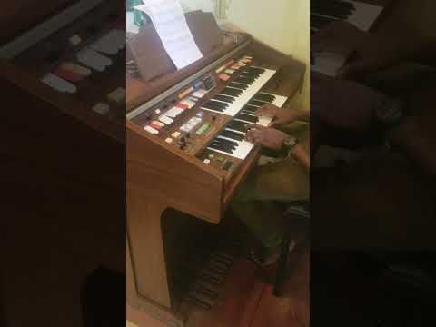 Tazama Bwana Tunakuja Kwako | Deo Kalolela| Organist: Florianus Mulokozi OFM Conv