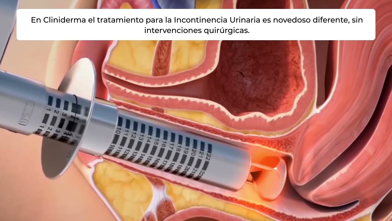 Joan Stefany Duque Pulido-15