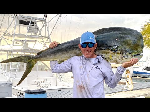 Mahi Mahi Catch Clean & Cook (the best fish RECIPE you’ll ever MAKE)