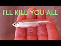 The Fish That Allegedly Destroyed California