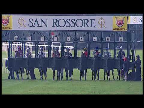 2018-02-08 corsa 6 metri1200 Premio Cristiani Pavimenti