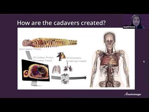 Learn the Basics of the Anatomage Table
