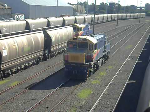 QRNational 42302 Carrington