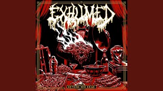 In My Human Slaughterhouse (Live)