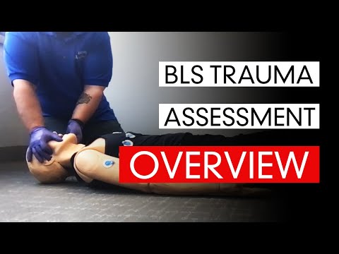 BLS Trauma Assessment - Overview