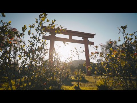 Budah - Terra de Buda (Prod. Velho Beats)