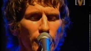 You Am I - Damage (live)