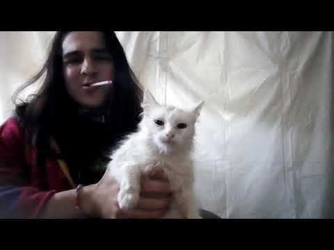 ХРОНИКИ КАРАНТИНА - ПНД, ПРЕРЫВАНИЕ РОДОВ, КТО РЕБЁНОК?! БорьБа с depression и гибель от курева