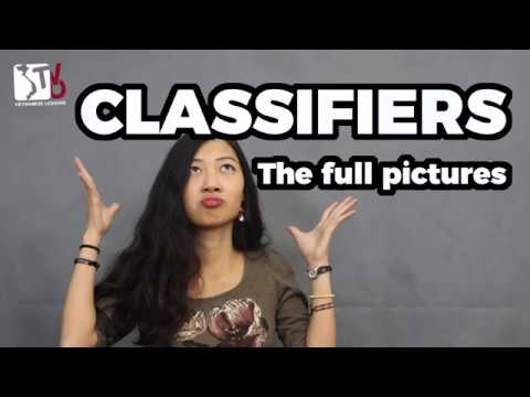 Learn Vietnamese with TVO | The full picture of Classifiers