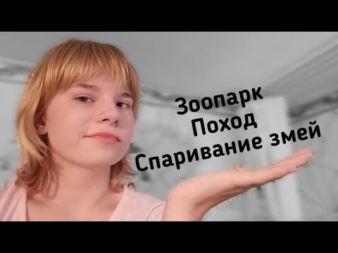 Новосибирский зоопарк. Поход в лес. Спаривание змей. Кот заболел