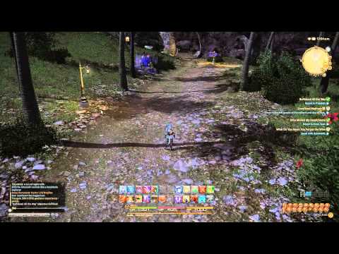 Final Fantasy XIV: A Realm Reborn - Paladin Gameplay...