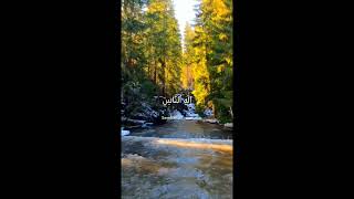 Download lagu AL-QUR'AN SURAT AN-NAS QORI' IDRIS AL HASYIMI BESERTA ARTINYA mp3