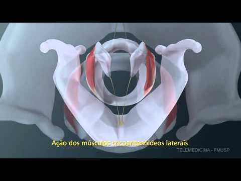 Fisiologia da Fonação