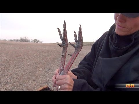 Turkey Hunting: First-timers (Mom and Son) Score on Big Gobblers in Kansas!