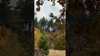 I’ve made love to you- by Smokey Robinson #Motown #Jesus #oldies #Faith #God #Sunday #Music #love