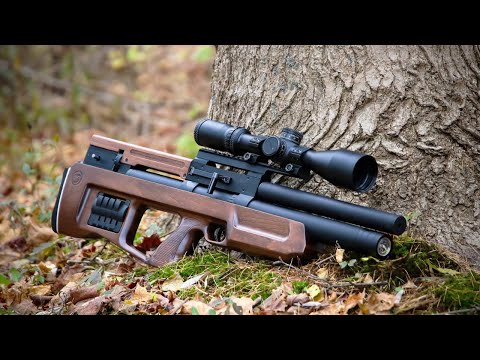 Top 10 Most Popular Air Rifles 2021 - Madman Review