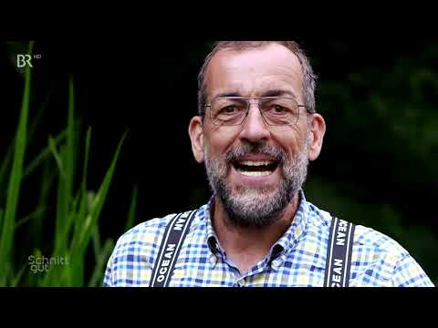 Schnittgut: Verbenen und saubere Teiche Doku (2018)