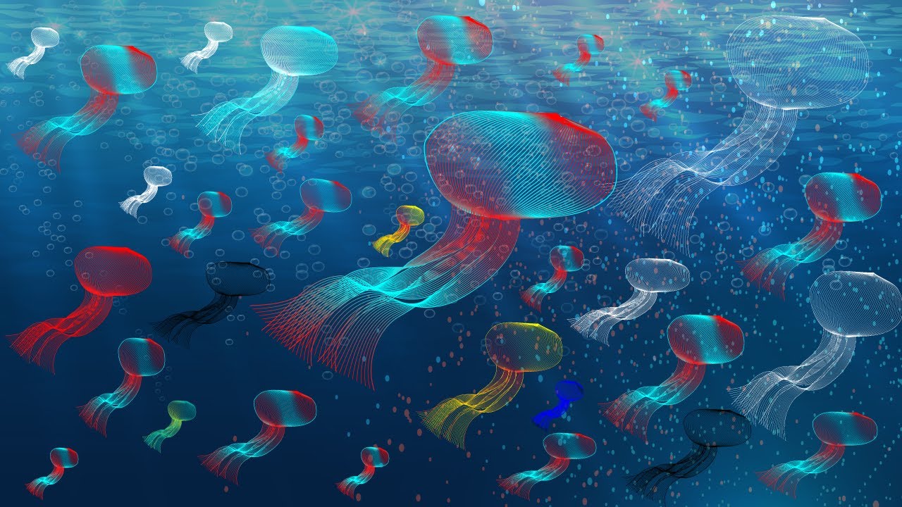 Create sea jelly fish in illustrator || Easy illustrator tutorial