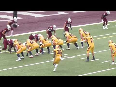 Ryan Licandro QB - 2019 Queen's Football Freshman, Age 17  - OUA Highlights