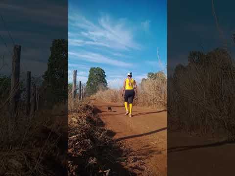 Caminhada sertaneja Comunidade Santa Rita município Vianópolis Goiás Brasil