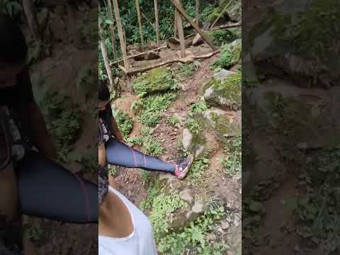 Cachoeira arapongas no Petar em Iporanga SP #cachoeirasdobrasil #Iporanga #trilhaoffroad