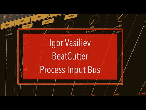 Igor Vasiliev BeatCutter - Tutorial Part 5: Process one Input Bus