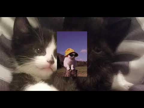 floatinurboat - i want to bring you home