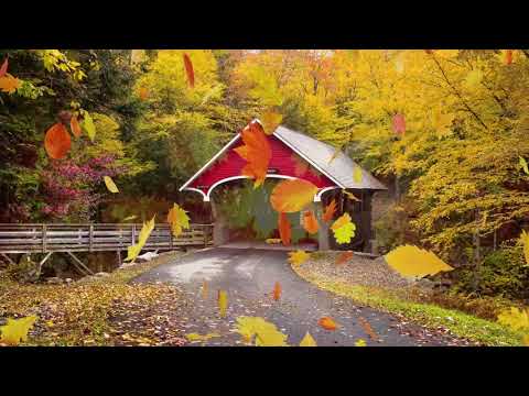 Autumn Leaves video